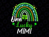 One Lucky Mimi PNG, Rainbow St Patrick's Day Leopard Design, Sublimation Designs Downloads, PNG File