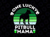 Funny St Patrick's Day One Lucky Pitbull Mama Svg, Pitbulldog svg, Saint Patricks Day Svg, Pitbull Png, Pitbull Dog Svg