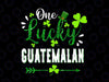 One Lucky Guatemalan Png, Shamrock Leprechaun Hat Png, St Patricks Day PNG