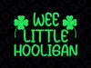 Wee Little Hooligan Svg, Saint Patrick Day Svg, Kids St Patricks Day Svg, St Patrick's Day Svg, Cute Kids Svg, Lucky Charm, Lucky Svg Png