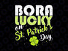 Born Lucky On St Patricks Day Svg, Irish Clovers Birthday svg, Patrick Birthday, Lucky Birthday, Shamrock Lover Gift Digital Svg Silhouette Cricut