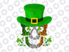 Sugar Skull PNG, St Patricks Day Png, Irish Png, St Pattys Day Png Irish Shamrock Png, Sublimation Designs