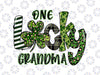 One Lucky Grandma PNG, Leopard Plaid St Patrick’s Day Png, Grandma Png, St Patricks Day, St Patrick's Day, Gift for Grandma, Shamrock Png