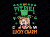 My Pitbull Is My Lucky Charm PNG, Irish St Patricks Day Png, Patrick's Dog Png, Dog Leprechaun Hat Png, St Patricks Day Png