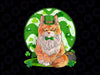 Maine Coon Cat Lucky PNG, Leprechaun St. Patricks Day Png, Patrick's Day Png, St Patrick's Day Png, Sublimation Design