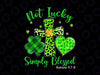 St Patricks Day PNG Faith Christian Png, Not Lucky Simple Blessed png, St Patrick’s Day Png, Christian Png, Lucky Blessed