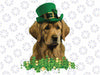 Dog Leprechaun St Patricks Day ,Funny st pattys dog lovers Png, St Patrick Clipart, Saint Patricks, Shamrock Png, Png Sublimation