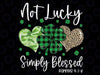 Not Lucky Simply Blessed Christian St Patricks Day Irish Png, Leopard Heart Png, St Patricks Day Png, Chris-ti-an Png, Digital Download