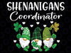 Shenanigans Coordinator St Patricks Day Gnomes Green Proud Pngt, Irish Gnome Png, Shamrock Gnome Png, St Patricks Day Gnome, Digital Download