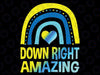 Down Right Amazing Down Syndrome Awareness Png, Down Syndrome Raninbow Png, Down Right Amazing Raninbow, Digital Download