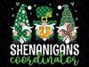 Shenanigans Coordinator St Patricks Day Gnomes Green Proud Pngt, Irish Gnome Png, Shamrock Gnome Png, St Patricks Day Gnome, Digital Download