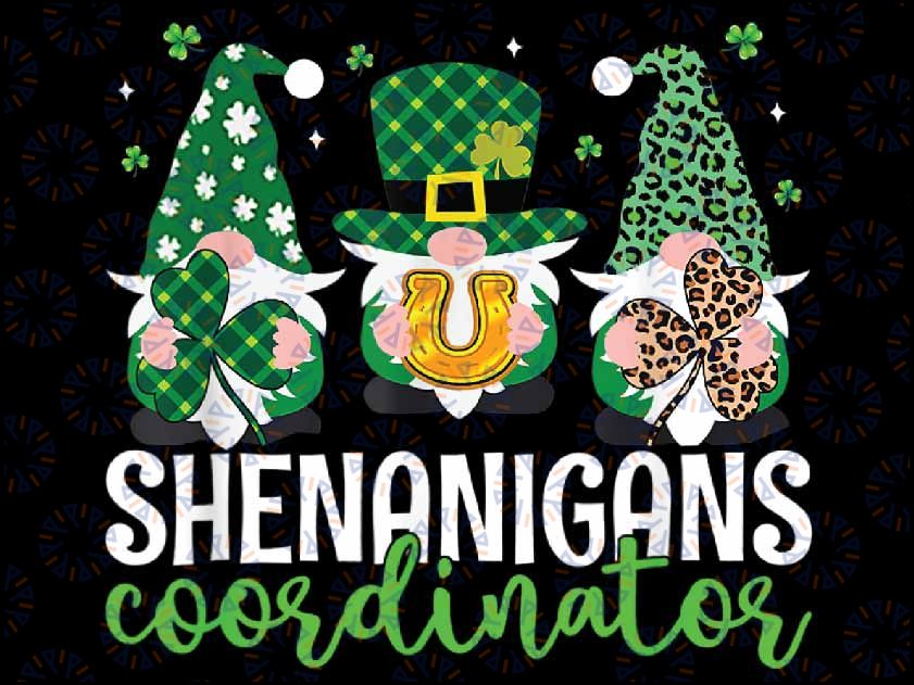 Shenanigans Coordinator St Patricks Day Gnomes Green Proud Pngt, Irish Gnome Png, Shamrock Gnome Png, St Patricks Day Gnome, Digital Download