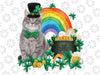 Cat Leprechaun  Cat Lover Shamrock St Patricks Day Png, Happy Patrick's Day Funny