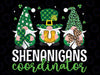 Shenanigans Coordinator St Patricks Day Gnomes Green Proud Png, Happy Patrick's Day Funny