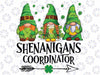 Shenanigans Coordinator St Patricks Day Gnomes Green Proud Png,  Irish Gnome Png, St Patricks Day Gnome Png, St. Patrick's Day Png,Digital Download