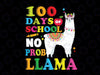 100 Days of School SVG, No Probllama Llama 100th day svg png, Llama svg, 100th day of school, Teacher Svg, Funny Sayings Svg