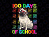 100 Days School Pug Dog Png, 100th Day Of school Boys Kids Png, 100th Day of School Png, Dog Design, Kid's Saying, Funny Pet Quote Png