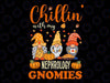 Chillin With My Nephrology Gnomies Png, Nurse Gnome Thanksgiving Png, Gnome, Fall Vibes, Fall Drink, Sublimation Design,Fall,Pumpkin PNG,Pumpkin Design,Digital Download