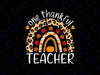 Thanksgiving Teacher PNG, Thankful Rainbow Pumpkin PNG, Thanksgiving Vacation PNG, Family Thanksgiving PNG, Thanksgiving Dinner PNG