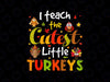 I Teach The Cutest Little Turkeys Pre-K Teacher PNG, Thanksgiving PNG, Turkeys Shirt, Fall PNG, Autumn Sublimation Digital Download