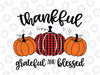 Thankful Grateful Blessed PNG, Thanksgiving Buffalo Plaid Pumpkin Sublimation, Thanksgiving Design, Fall Sign PNG, Digital Download