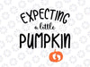 Expecting a Little Pumpkin svg, Hello Fall svg, Fall svg, Autumn svg, Pregnant Svg Cut File, Thanksgiving Svg Png digital download