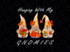 Thanksgiving Gnomes Png, Autumn Gnomes Png, Halloween Png, Hello Fall Png, Thanksgiving png for Sublimation Digital Download