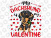 My Dachshund Is My Valentine Dog Love Dog Svg, Dachshund Valentine Svg, My Dog Is My Valentine Sublimation Design Downloads