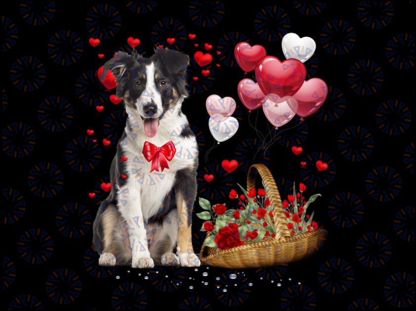 Border Collie Hearts Valentine's Day Png, Collie Dog Lover Png, Border Collie Valentine's Day, Border Collie Lover Png