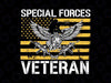 Special Forces Veteran Day PNG File for Sublimation Military PNG America flag