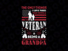 The only thing I love more than being a Veteran is being a grandpa  PNG Army Gifts, USA Flag, Patriotic American Flag, Veterans Day png, Military png, Eagle Flag Usa png Veteran Day