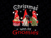 Gnome Family Christmas png, Funny Christmas design, Christmas gnomes PNG, Holiday png png Sublimation Digital Download