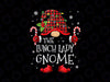 Lunch Lady Gnome Buffalo Plaid PNG, Matching Family Christmas Png, Lunch Lady Gnome Png, Funny Cafeteria Crew Png