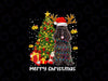 Black Poodle Santa Christmas Tree Lights Xmas Reindeer Dog PNG, Poodle Black and Tan Phantom Santa's Helper Christmas PNG Sublimation