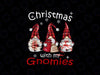 Christmas with My Gnomies PNG, Christmas Gnomes PNG, Kids Png, Funny Boy Winter png, Buffalo Plaid Sublimation Digital Download