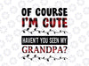 Of I'm cute Have you seen my Grandpa PNG, Red Plaid Xmas PNG, Mery Christmas Png Sublimation Digital Download