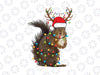 Christmas Squirrel Lights Png, Christmas Png, Funny Christmas Png, Christmas Gift Shirt, Christmas Gift For Her Png Sublimation
