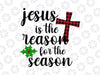 Jesus Is The Reason For The Season PNG, Christmas PNG, Christmas Buffalo Plaid PNG, Sublimation Designs Downloads