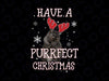 Have Purrfect Christmas Cat Xmas PNG, Ugly Christmas PNG Winter Snow Holiday Snowflake Reindeer PNG, Christmas Sublimation Digital Download