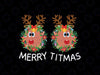 Merry Titmas Naughty Christmas Svg Png Reindeer Boobs Ugly Svg, Reindeer Merry Christmas Svg, Rudolph Matching Family Png, Xmas Png