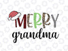Merry Grandma Merry Family Christmas png, Family matching Christmas png, Christmas pngs, Christmas Family Vacation png, Subliamtion Design