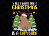 Xmas Lights Santa Hat All I Want For Christmas Is A Capybara Png, Family Christmas 2022 Png, Digital download Png