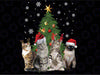 Cute Cats Christmas Tree Cat Lover Xmas Cat Png, Four Funny Cute Cat christmas with Lights Clipart Png Sublimation