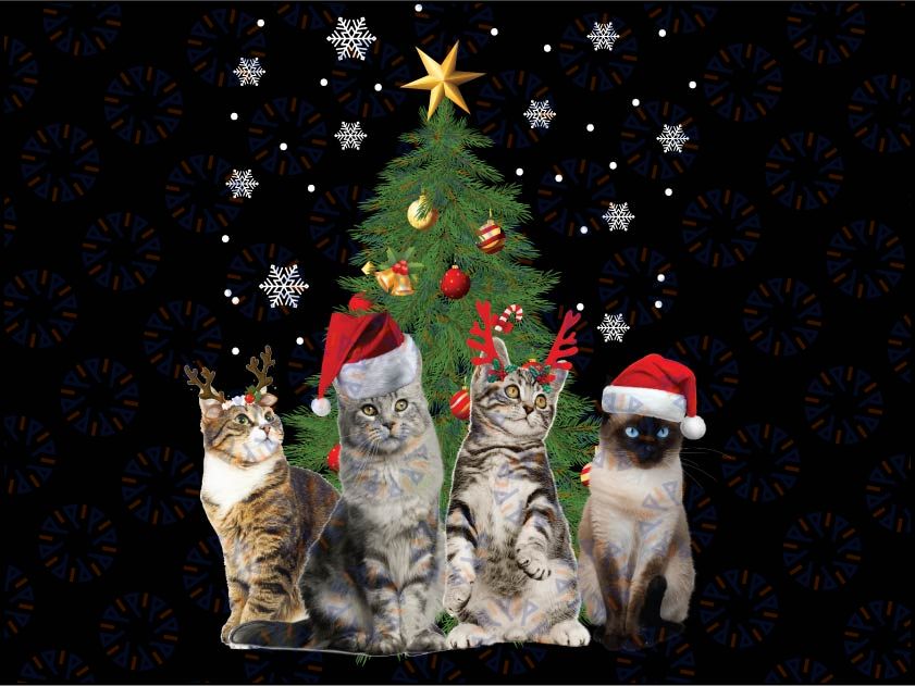 Cute Cats Christmas Tree Cat Lover Xmas Cat Png, Four Funny Cute Cat christmas with Lights Clipart Png Sublimation