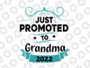 Promoted to Grandma Est 2022 Svg, Funny Quotes Svg png dxf eps