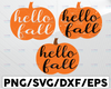 Hello Fall Pumpkin SVG, Fall Door Sign SVG, Halloween SVG, Digital Download, Cricut, Silhouette