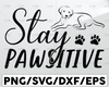 Stay Pawsitive SVG | Dog Paw SVG | Paw SVG | Positive Svg | Paw Sitive Svg | Dog Cut File | Dog Quote Svg | Dog Saying Svg | Dog Design Svg