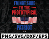 I'm Not Sure I'm The Prototypical Patriot SVG, Patriot Day Svg, World Trade Center 9/11, September 11th Cricut, Silhouette