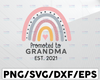 Promoted to Grandma Svg, Funny grandma svg, Grandfather Shirt Svg, Grandmother Shirt Svg Pdf Png Dxf,grandparents