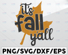 It's Fall Y'all svg, Falling Leaves, Fall svg, Farmhouse svg, Thanksgiving svg, Cricut, Silhouette, Svg File, Cut File svg